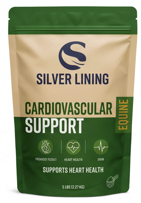 Cardiovascular Support for Horses