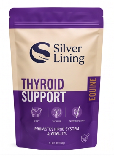 Thyroid Support for Horses