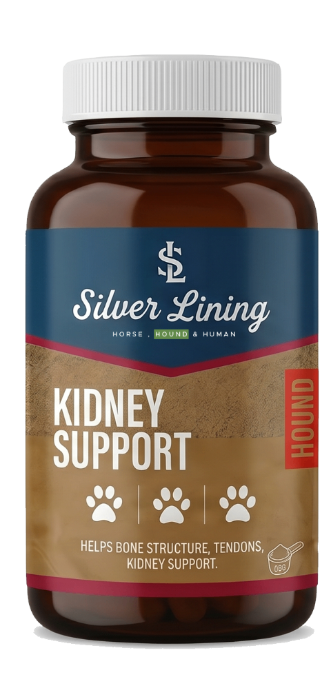 K9 Kidney Support