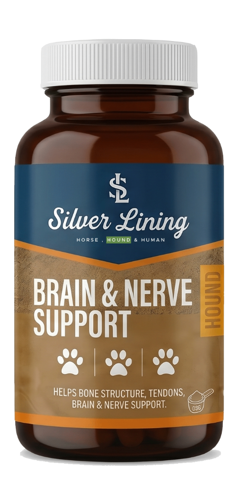 K9 Brain & Nerve Support