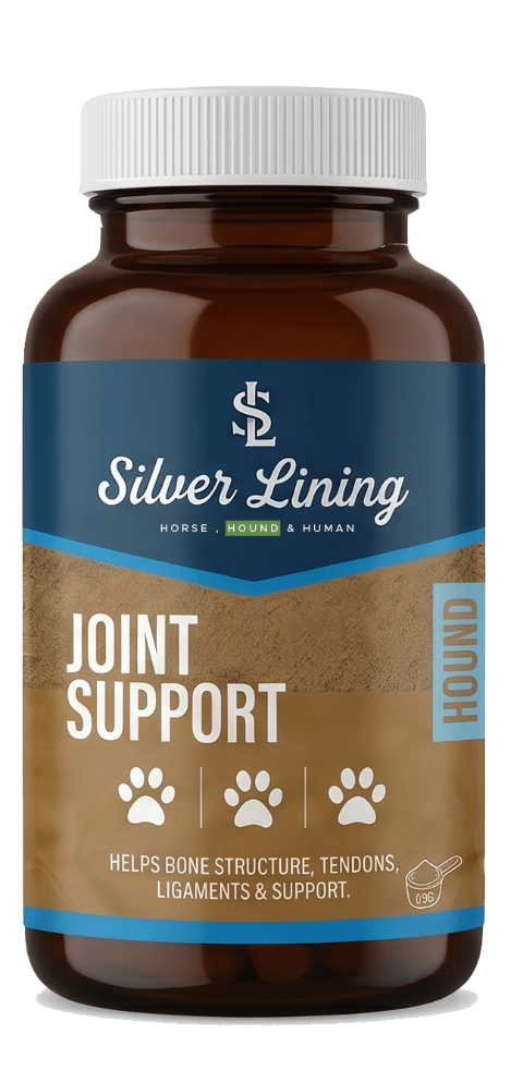 K9 Joint Support